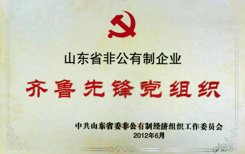 山東省非公企業(yè)齊魯先鋒黨組織