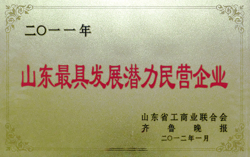 山東最具發(fā)展?jié)摿γ駹I企業(yè)